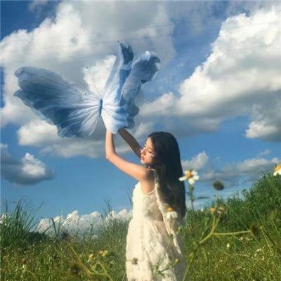 美国枪枝的秘密